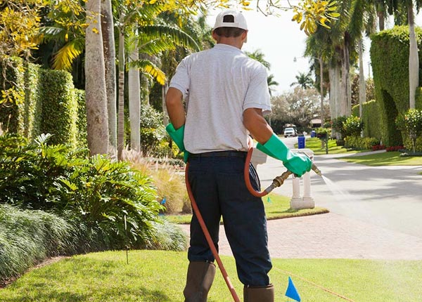 About Haddam CT Pest Control